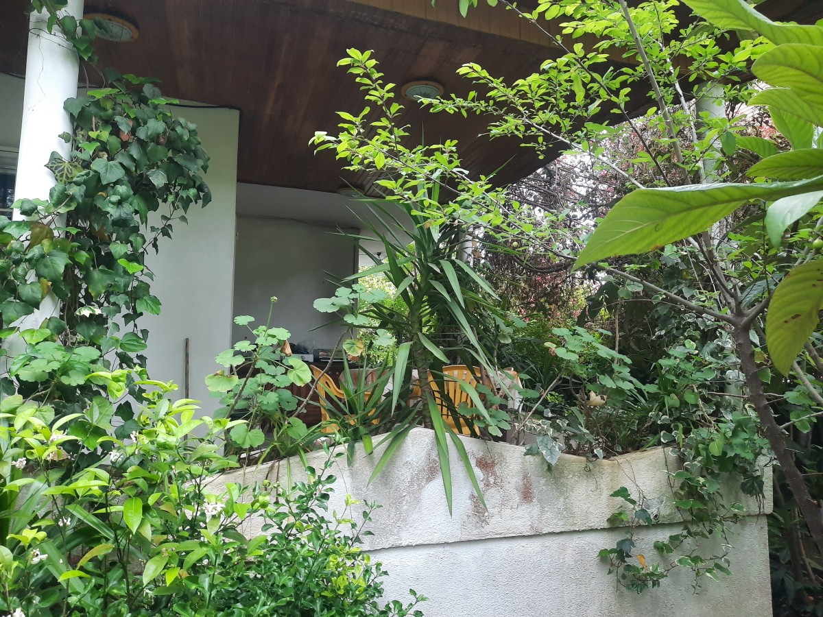 فروش 581 متر باغ ویلا 2 خوابه زیربنا 150 متر در شریعت آباد نوشهر