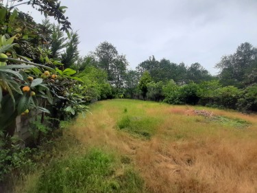 فروش 726 متر زمین در شریعت...