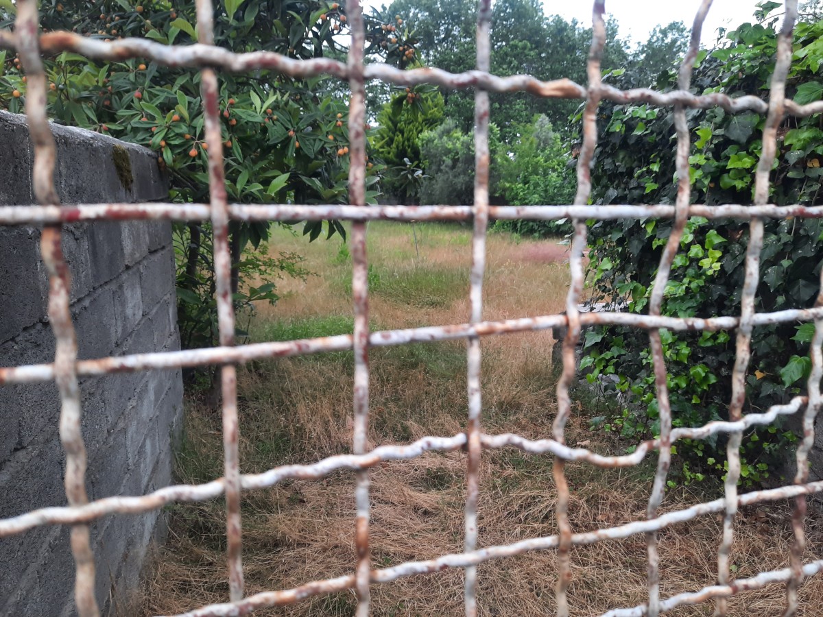 فروش 726 متر زمین در شریعت آباد نوشهر