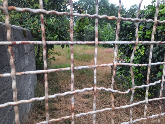 فروش 726 متر زمین در شریعت آباد نوشهر