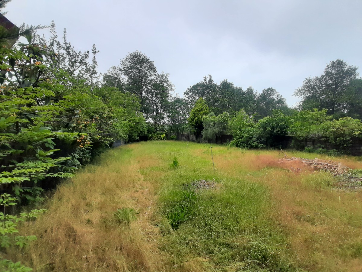 فروش 726 متر زمین در شریعت آباد نوشهر