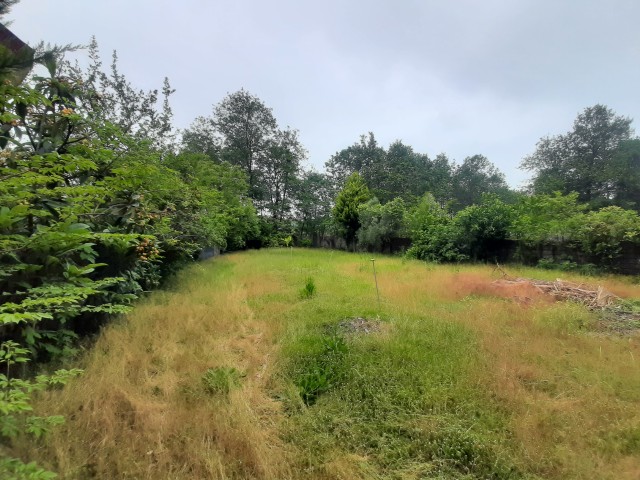 فروش 726 متر زمین در شریعت آباد نوشهر