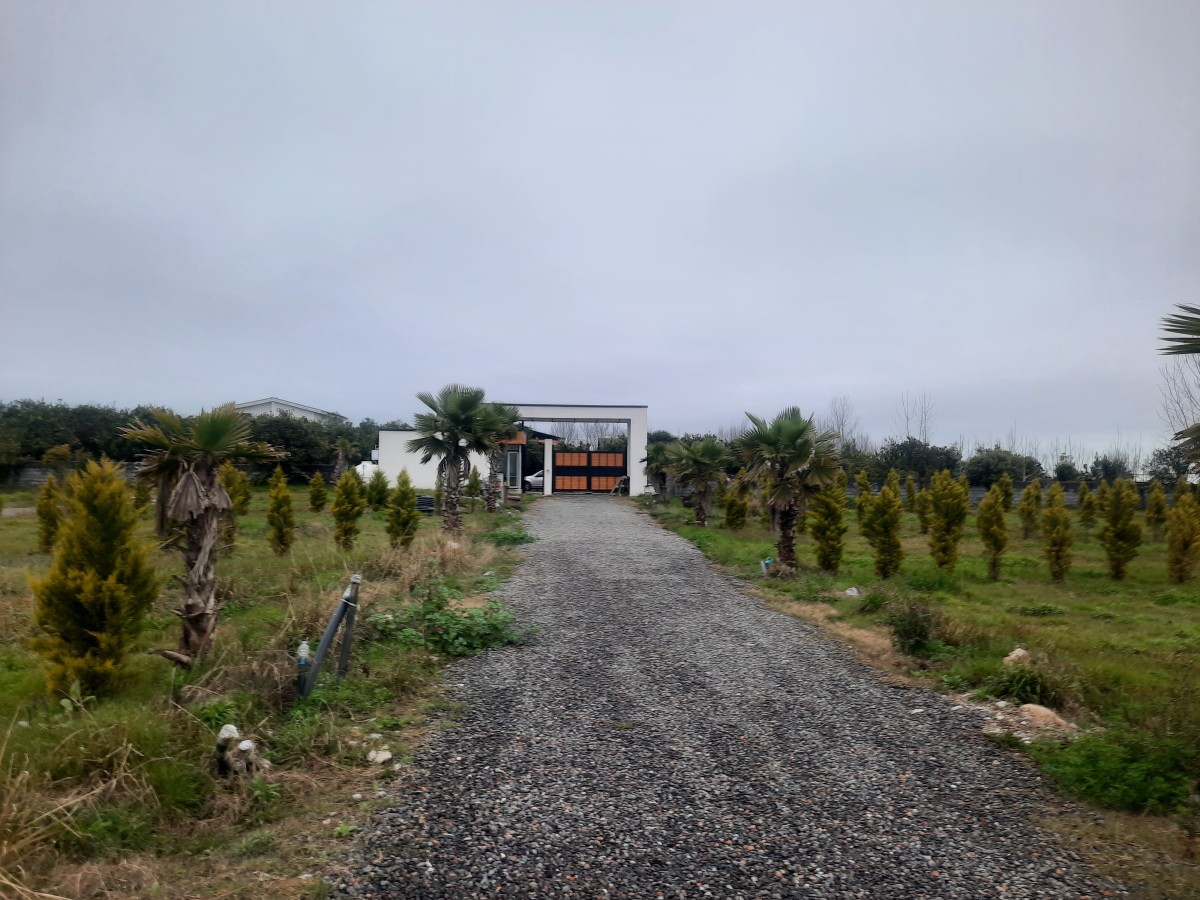 فروش 240 متر زمین نوشهر