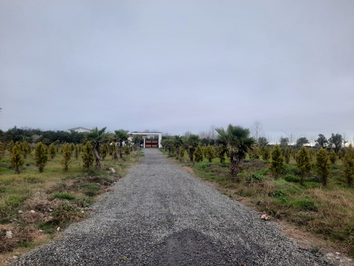 فروش 240 متر زمین نوشهر