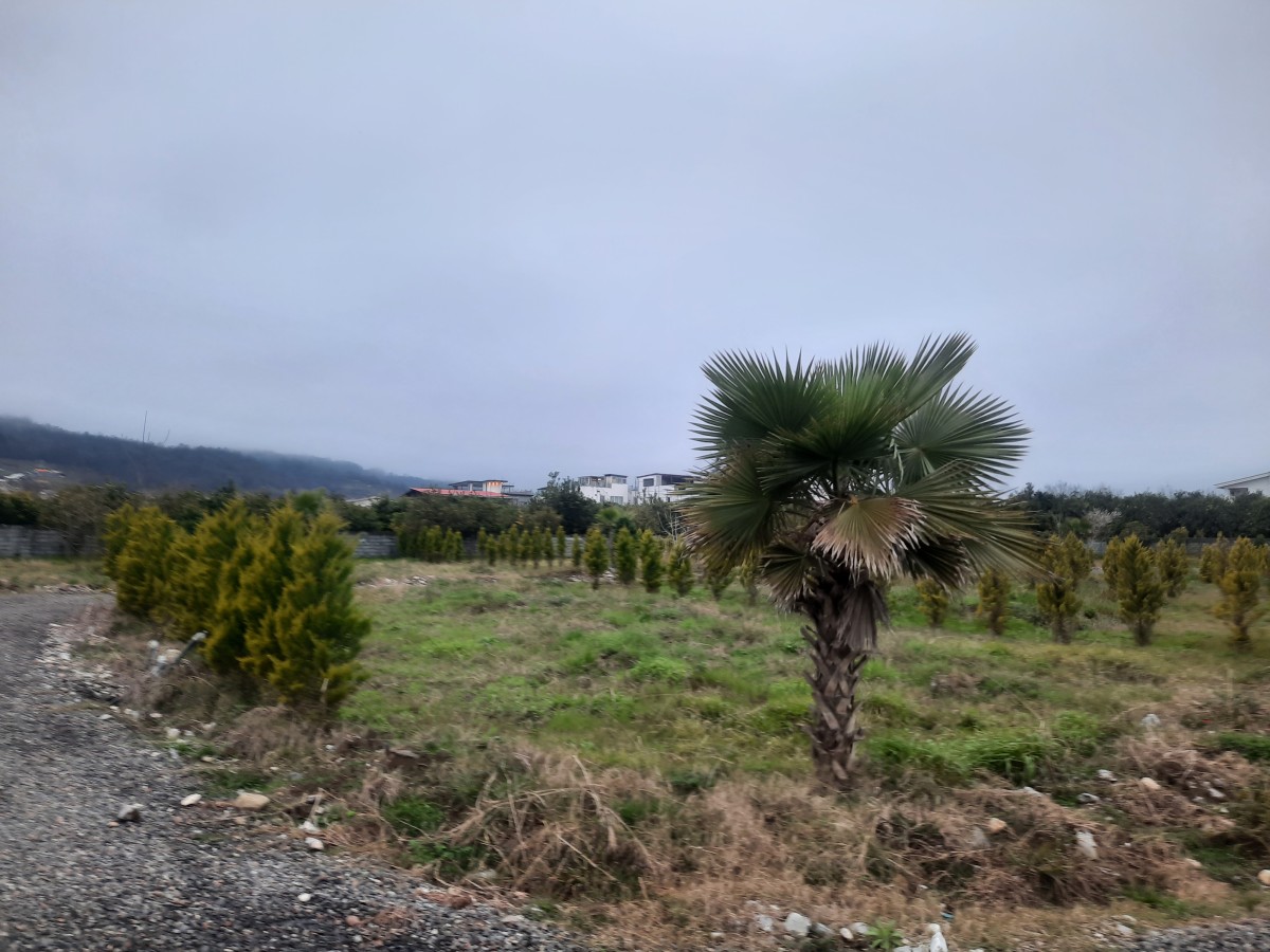 فروش 240 متر زمین نوشهر