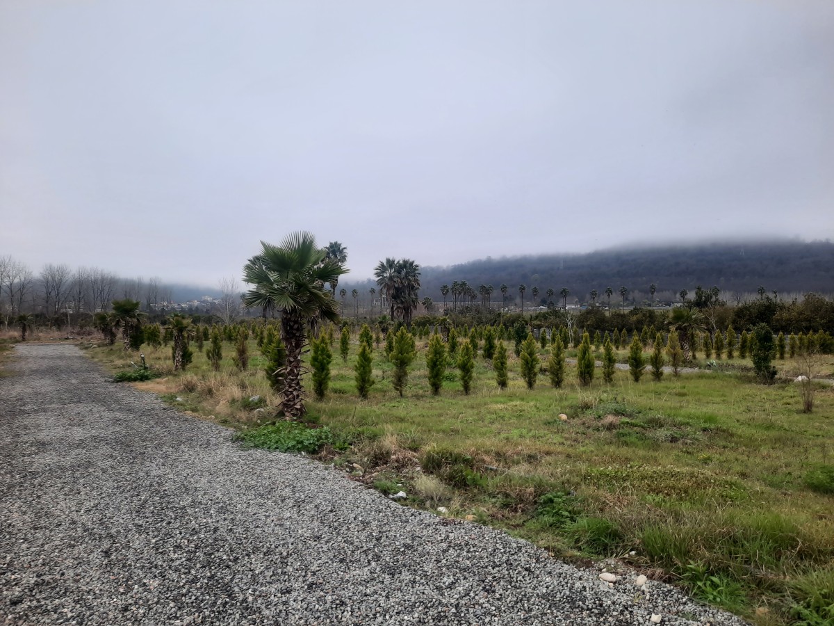 فروش 240 متر زمین نوشهر