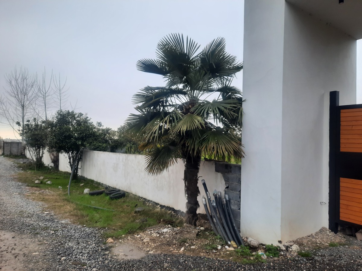 فروش 240 متر زمین نوشهر